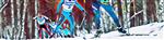 Открытое Первенство по лыжному марафону 2017